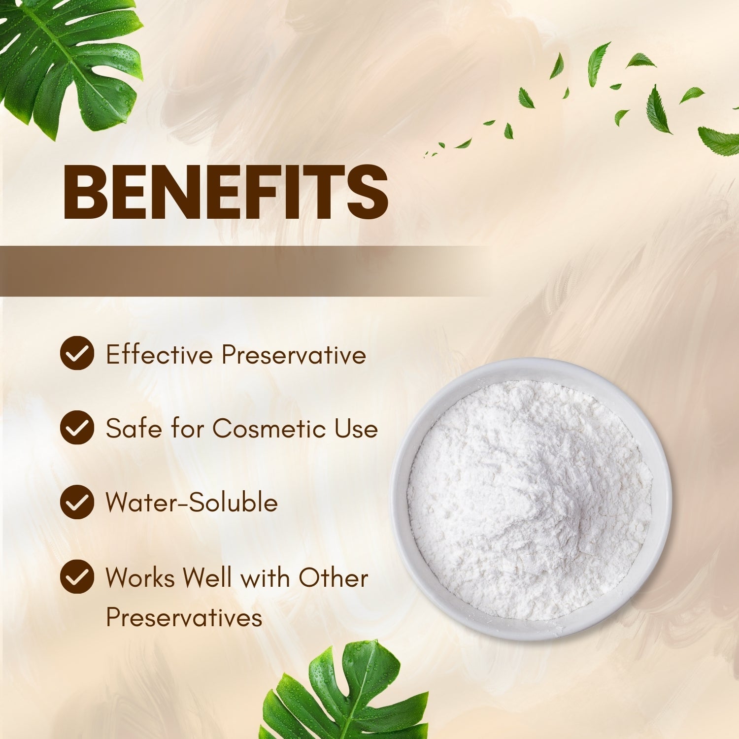 Sodium Benzoate Sodium Benzoate